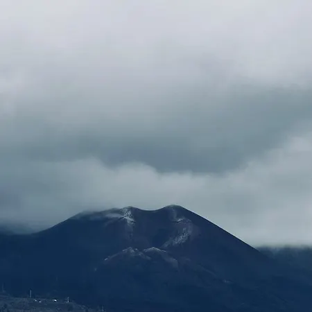 Avenida 52 B لوس يانوس دي أريداني